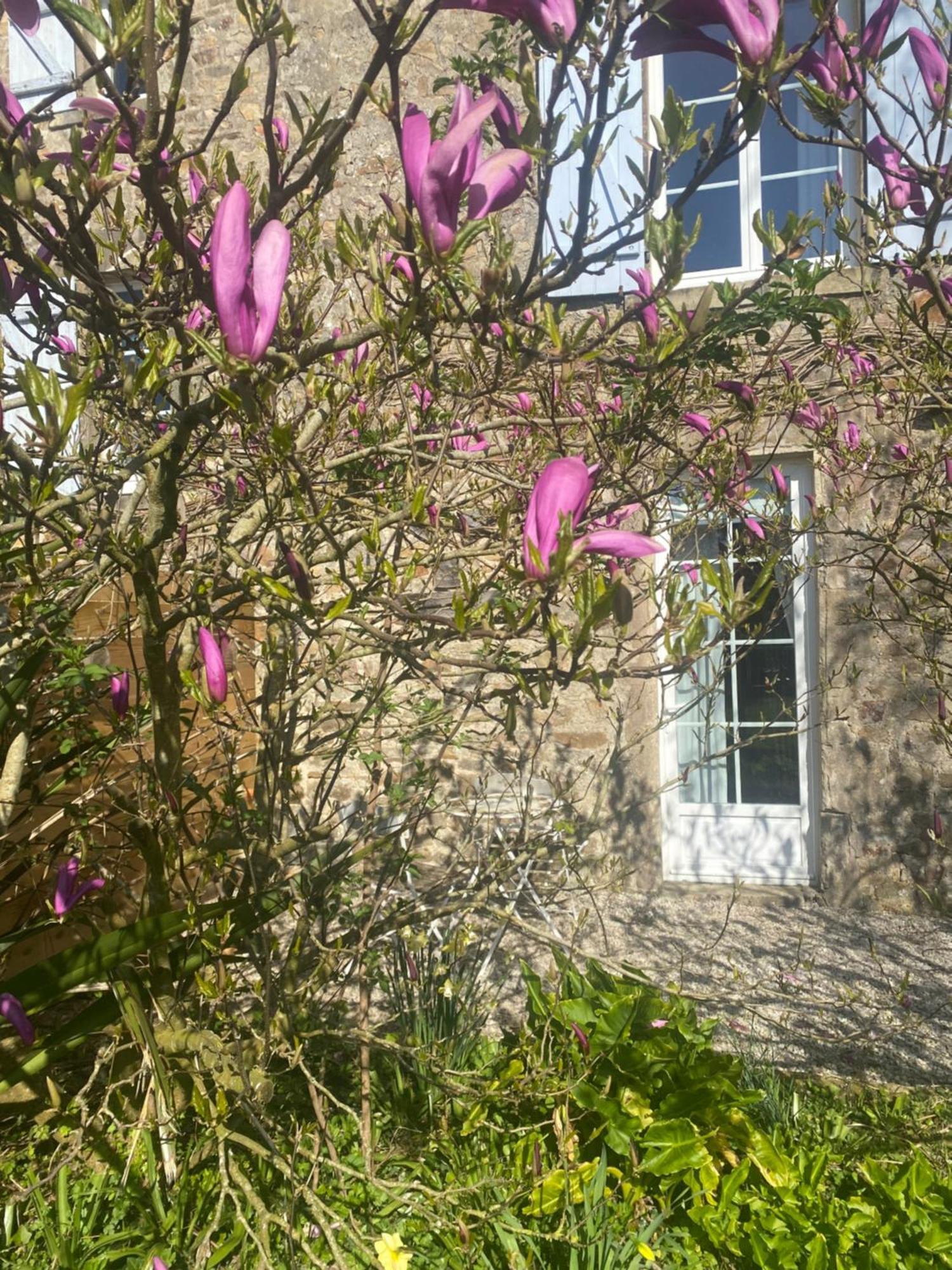 Chambre d’hôtes La Ferté Saint-Floxel Exterior foto